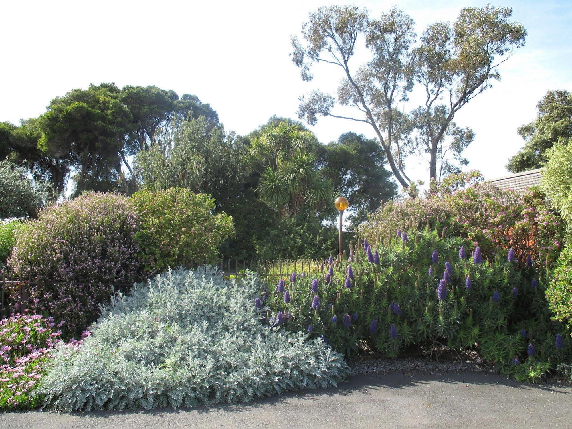 Motel Warrnambool Zewnętrze zdjęcie